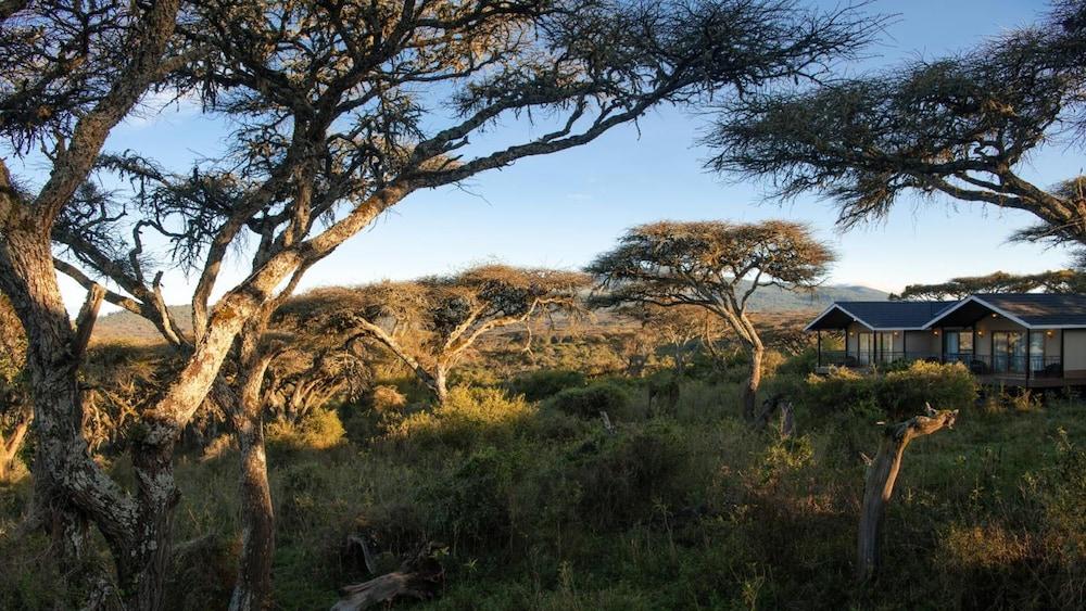 Karibu Camps And Lodges Lions Paw Ngorongoro คาราทู ภายนอก รูปภาพ